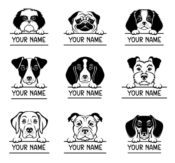 Guckender Hund Hunderassen Set Hundemonogramm Mit Platz Für Text Namensschild Stockvektor