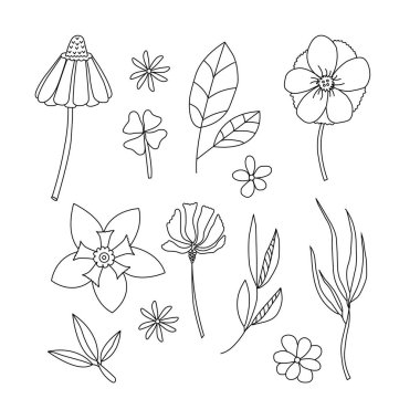 Çiçekler ve bitkiler.