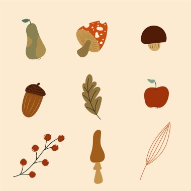 Sevimli sonbahar elementleri. Hasat mevsimi, rahat dekorasyon vektörü illüstrasyonu.