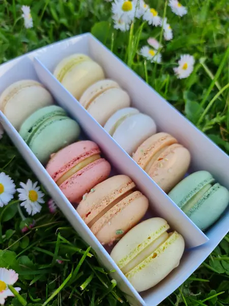 Beyaz kutuda pastel renkli makaronlar.