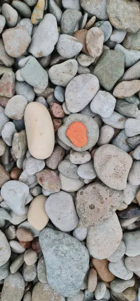 Gri taşların üzerinde kırmızı bir taş