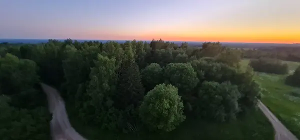 Ormana ve yola doğru nefes kesici bir manzara