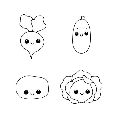 Sebze seti. Pancar, salatalık, patates, lahana..