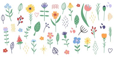 Basit çiçekleri ve yaprakları olan büyük bir set. El çizimi çiçek elementleri. Minimalist çiçekler.