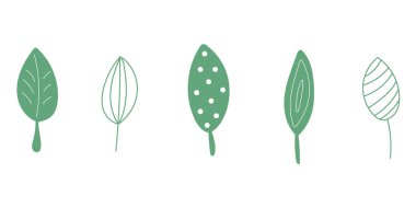 Bir çift yeşil yaprak. Saf yeşil yapraklar. El çizimi minimalist yapraklar.