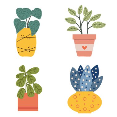 karanfiller Tencere Seti.