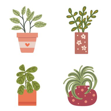 İç tesisleri olan kırmızı kaplar..