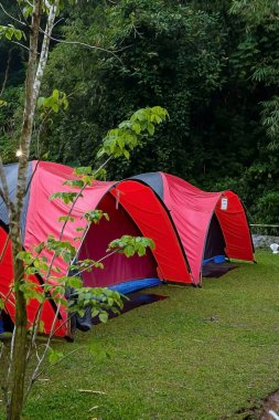 Ailenle tatil yaparken uyumak için çadırlar inşa edilir..