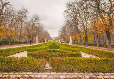 Çalıları olan şehir parkı