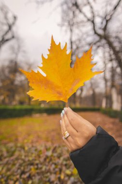 Bir kadının elinde sonbahar yaprağı