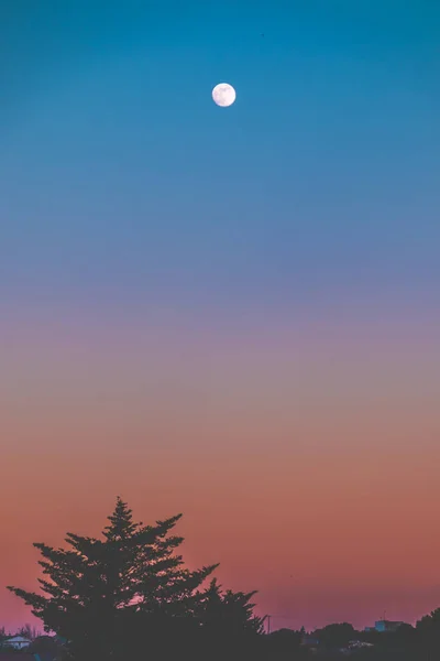 Der Mond Nach Sonnenuntergang — Stockfoto