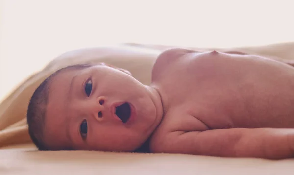 Neugeborenes Legt Sich Hin Blickt Die Kamera Und Gähnt — Stockfoto