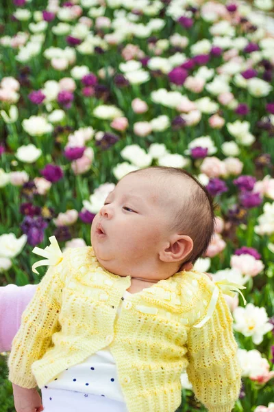 Newborn baby, wearing yellow clothes in a park with tulips in the background