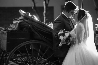 Gelin ve damat, gün batımının sıcacık parıltısıyla yıkanmış samimi bir öpücüğü paylaşırlar. Kırsal at arabası çekicilik katıyor. Aşklarını açık havada sergiliyor..