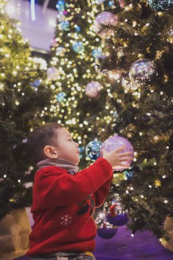 Beş yaşlarında, kar tanesi detaylarıyla dolu parlak kırmızı bir süveter giyen genç bir çocuk ışıl ışıl bir Noel ağacına renkli bir süs asmak için uzanıyor..
