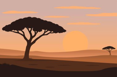 Çöl manzarasında sıcak bir günbatımına karşı güzel bir akasya ağacı silueti. Huzurlu sahne huzur ve doğal güzelliği çağrıştırıyor..