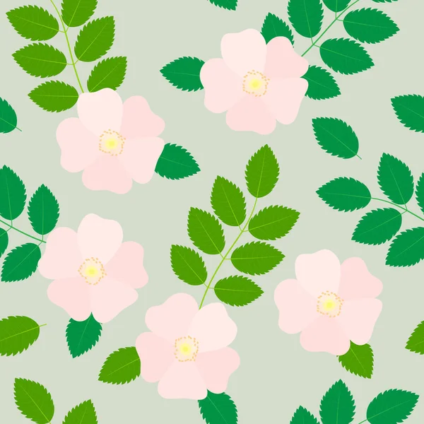 Kusursuz yaz şablonu. Gül çiçekleri ve yapraklar açık arkaplanda.