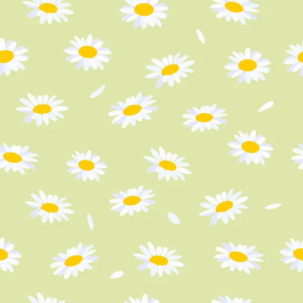 Kusursuz bir arka plan ve papatyalar. Hafif arkaplanda papatya çiçekleri.