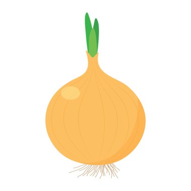 Beyaz arkaplanda soğan.