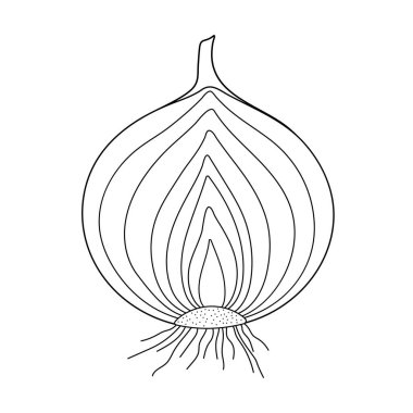 Beyaz arka planda soğan. Siyah beyaz illüstrasyon.