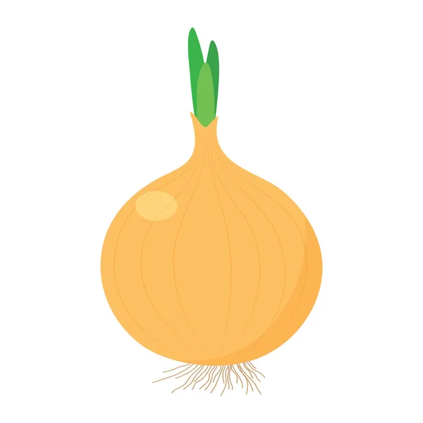 Beyaz arkaplanda soğan.