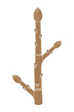 Winter twig on a white background. clipart