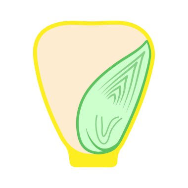 Corn seed (Monocot). Parts of a seed. clipart