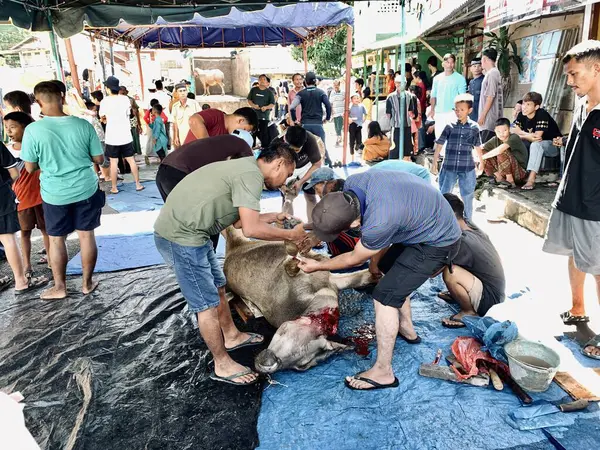 Endonezya - Sibolga, 17 Haziran 2024 Asyalı bayram için bir bufalo katlediyor.