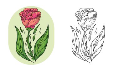 El çizimi çiçek doğa vektörü tasarım şablonu