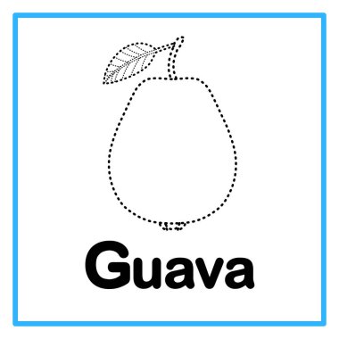 Alfabeye örnekle giriş yap. G, guava için. Çocuk pratiği için uygun ve yeni yürümeye başlayanların bilgi kartları için harika.