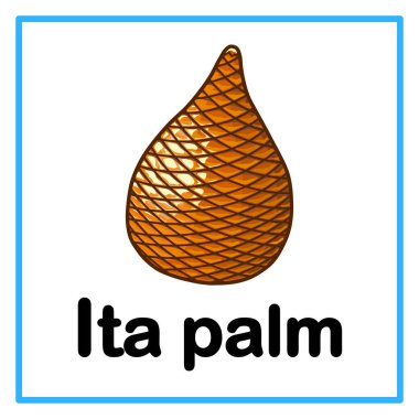 Introduction to the alphabet with examples. I is for ita palm. Suitable for children's practice and great for toddlers' flash cards clipart