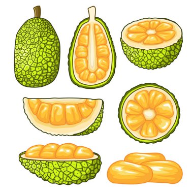 Çeşitli pozisyonlarda kriko meyvelerinin toplanması öğrenme varlıklarınızda ve sunumlarınızda harika bir şekilde kullanılabilir.