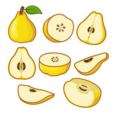 Çeşitli açılardan gösterilen dilimlenmiş parçalar da dahil olmak üzere farklı ayva türleri eğitici materyaller ve sunum görevleri için mükemmeldir..