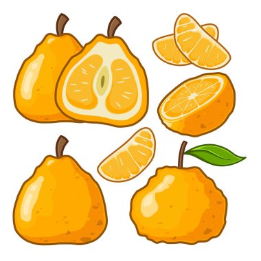 Çeşitli pozisyonlarda kesilip ikiye bölünmüş çirkin meyve koleksiyonu.