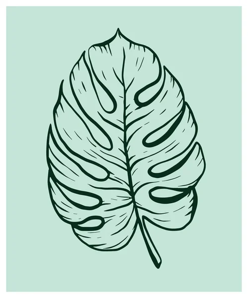 熱帯の葉の怪物ベクトル図 馬鹿なスタイルだ 緑のイラストをアウトライン化 デザイン プリント テキスタイル 紙のための — ストックベクタ