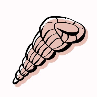 Moda tarzında taslak çizilmiş bir kabuk. Dövme, sosyal medya paylaşımı ve hikayeler için istiridye kabuğunun vektör çizimi.