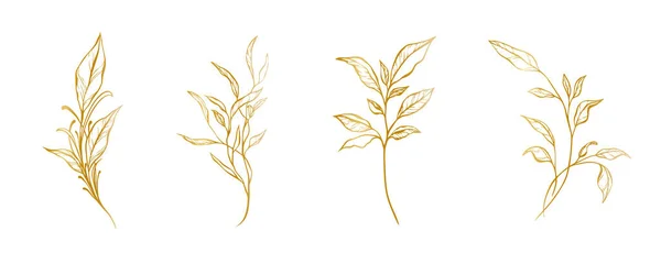 枝の植物黄金のセット 手描きの葉やハーブ 結婚式の招待状やカード ロゴデザインやポスターテンプレート エレガントなミニマルなスタイルの花ベクトル分離セット — ストックベクタ