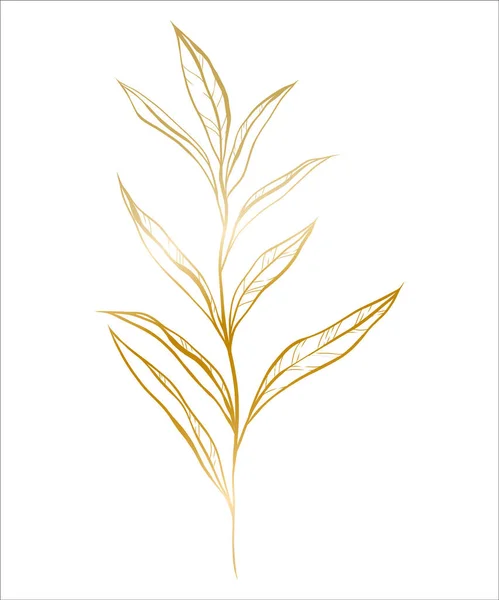 用于婚宴邀请卡 标志设计 社交媒体和海报模板的桉树分枝的植物学金色插图 雅致的最小花柱向量分离 — 图库矢量图片