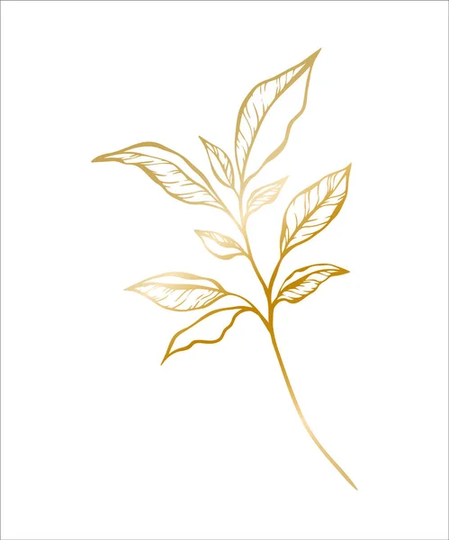 Botanical Golden Illustration Leaves Branch Wedding Invitation Cards Logo Design — Stock Vector