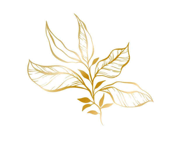 結婚式の招待状とカード ロゴデザイン ウェブ ソーシャルメディア ポスターテンプレートの葉の枝の植物的な金のイラスト エレガントなミニマルスタイルの花のベクター単離 — ストックベクタ
