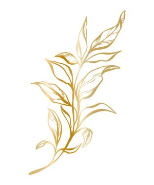 Düğün davetiyesi, kartlar, logo tasarımı, web, sosyal medya ve poster şablonları için bir yaprak dalının botanik olarak altın çizimi. Zarif minimal çiçek vektörü izole edildi.