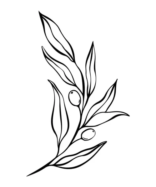 オリーブの葉の植物的なラインのイラスト 結婚式の招待状とカードのための枝 ロゴデザイン ウェブ ソーシャルメディア ポスターテンプレート エレガントなミニマルスタイルの花のベクター単離 — ストックベクタ