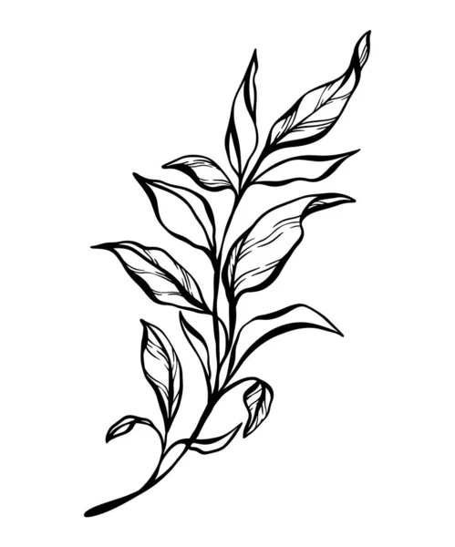 結婚式の招待状とカード ロゴデザイン ウェブ ソーシャルメディア ポスターテンプレートの葉の枝の植物的なラインのイラスト エレガントなミニマルスタイルの花のベクター単離 — ストックベクタ