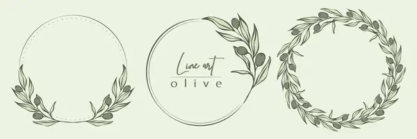 Botanical Line Illustration Set Olive Leaves Branch Wreath Wedding Invitation Telifsiz Stok Illüstrasyonlar