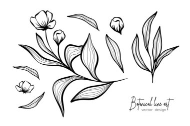 Çiçeklerin Botanik zarif çizgisi düğün davetiyesi ve kartları, logo tasarımı, web, sosyal medya ve poster, şablon, reklam, güzellik ve kozmetik endüstrisi için yaprak dalları.