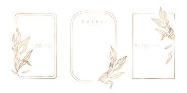 El çizimi dallar ve yapraklarla minimal doğrusal şablonlar dizisi. Zarif çerçeve. Etiketler için botanik vektör çizimi, şirket kimliği, düğün davetiyesi, logo, tarih kaydet