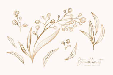 Çiçek yapraklarının Botanik altın çizgisi çizimi düğün davetiyesi ve kartları, logo tasarımı, web, sosyal medya ve poster, şablon, reklam, güzellik ve kozmetik endüstrisi için dallanır.