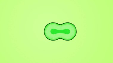 Açık Yeşil Renkli Biyoloji Hücrelerinin Bölünmesi