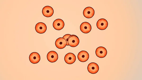 多个红色素生物细胞的说明 — 图库照片