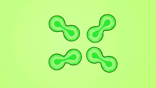 Illustration Plusieurs Cellules Biologie Couleur Verte Claire Divisant — Photo